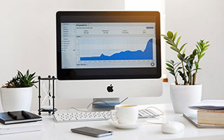 引领绿色生活新潮流，体验正能量绿色www！