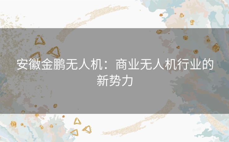 安徽金鹏无人机：商业无人机行业的新势力