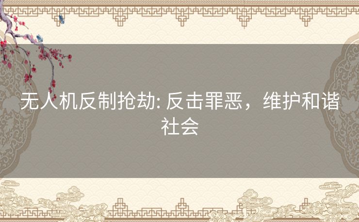 无人机反制抢劫: 反击罪恶，维护和谐社会