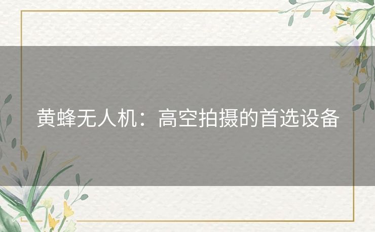 黄蜂无人机：高空拍摄的首选设备