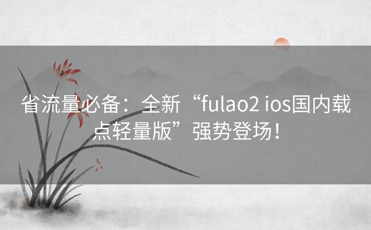 省流量必备：全新“fulao2 ios国内载点轻量版”强势登场！
