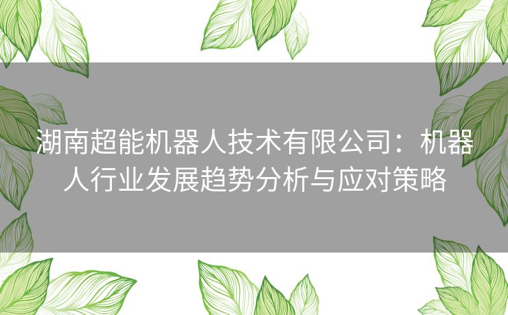 湖南超能机器人技术有限公司：机器人行业发展趋势分析与应对策略