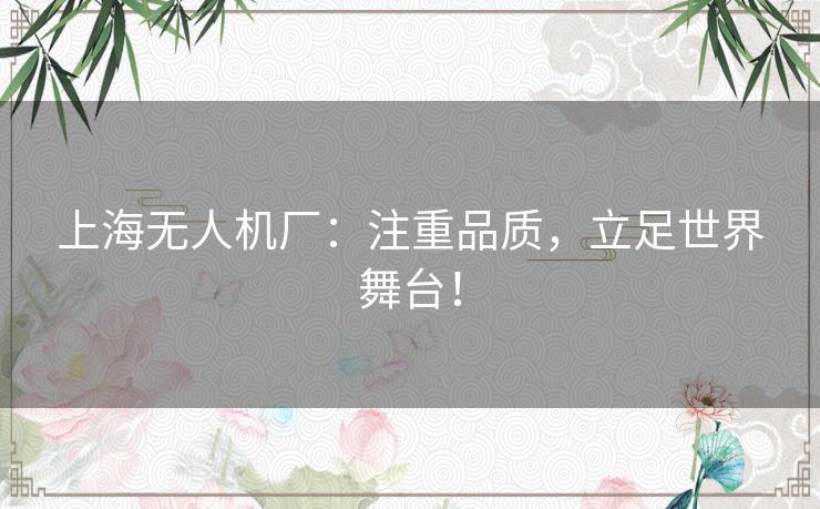 上海无人机厂：注重品质，立足世界舞台！
