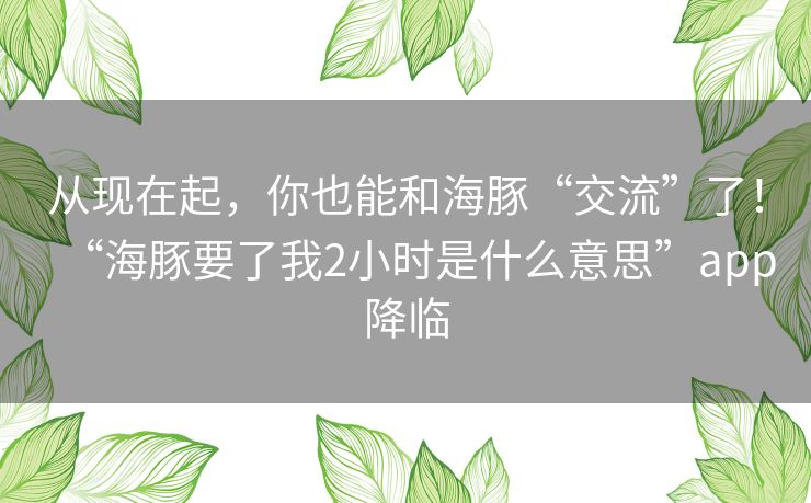 从现在起，你也能和海豚“交流”了！“海豚要了我2小时是什么意思”app降临