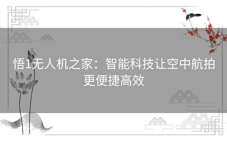 悟1无人机之家：智能科技让空中航拍更便捷高效