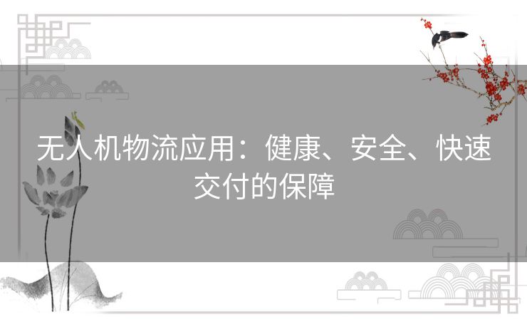无人机物流应用：健康、安全、快速交付的保障