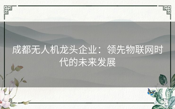成都无人机龙头企业：领先物联网时代的未来发展