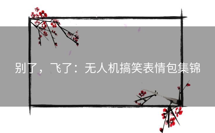 别了，飞了：无人机搞笑表情包集锦