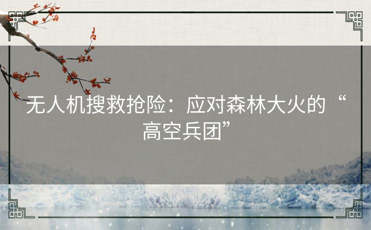 无人机搜救抢险：应对森林大火的“高空兵团”