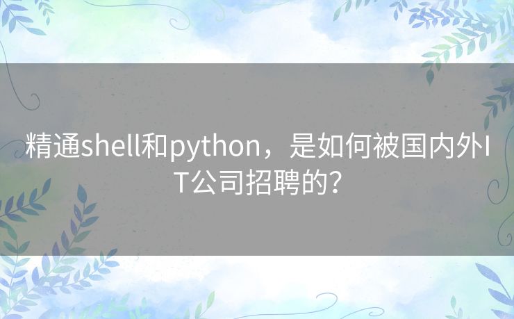 精通shell和python，是如何被国内外IT公司招聘的？
