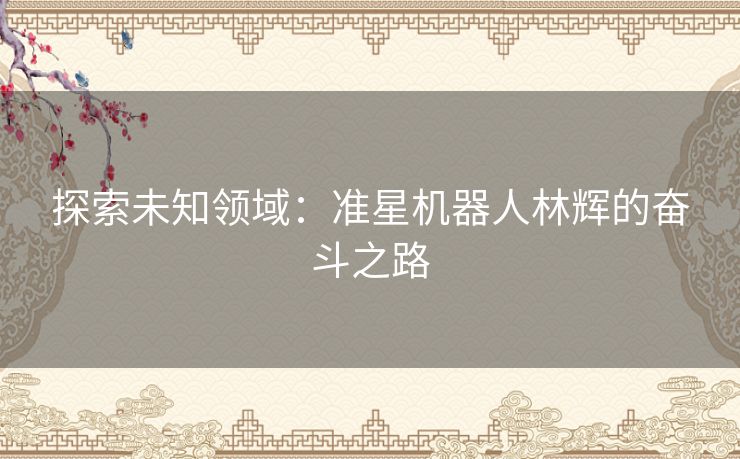 探索未知领域：准星机器人林辉的奋斗之路