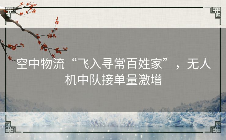 空中物流“飞入寻常百姓家”，无人机中队接单量激增