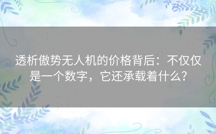 透析傲势无人机的价格背后:不仅仅是一个数字,它还承载着什么? 透析傲势无人机的价格背后:不仅仅是一个数字,它还承载着什么?
