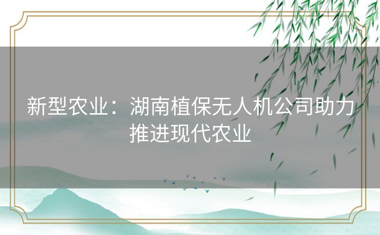 新型农业：湖南植保无人机公司助力推进现代农业