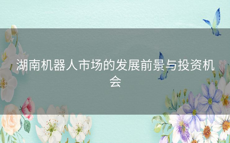 湖南机器人市场的发展前景与投资机会