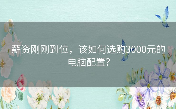 薪资刚刚到位,该如何选购3000元的电脑配置? 薪资刚刚到位,该如何选购3000元的电脑配置?