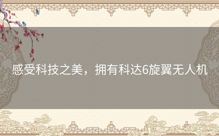 感受科技之美，拥有科达6旋翼无人机