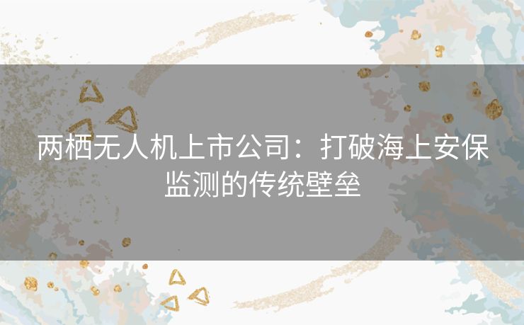 两栖无人机上市公司：打破海上安保监测的传统壁垒