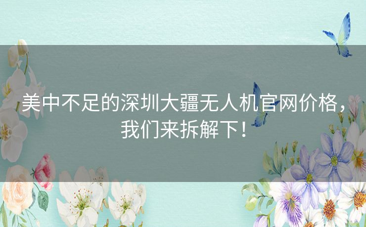 美中不足的深圳大疆无人机官网价格，我们来拆解下！