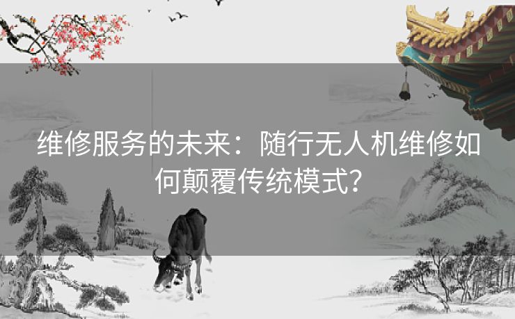维修服务的未来：随行无人机维修如何颠覆传统模式？
