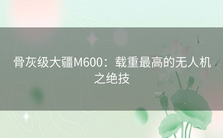 骨灰级大疆M600：载重最高的无人机之绝技