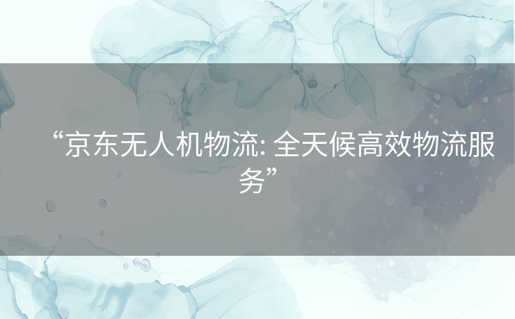 “京东无人机物流: 全天候高效物流服务”
