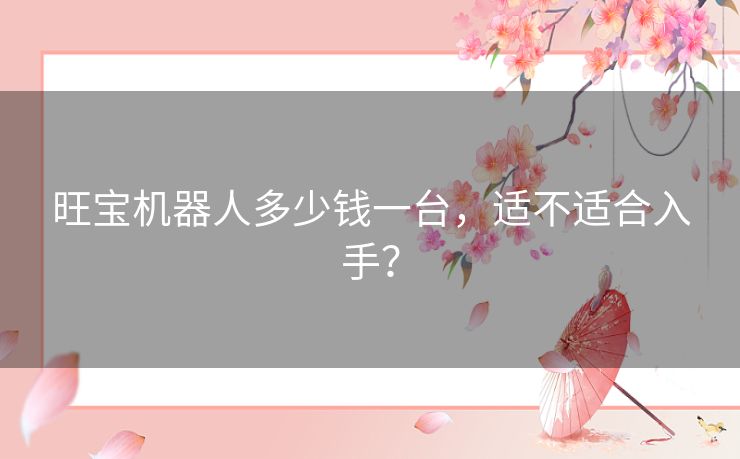 旺宝机器人多少钱一台，适不适合入手？