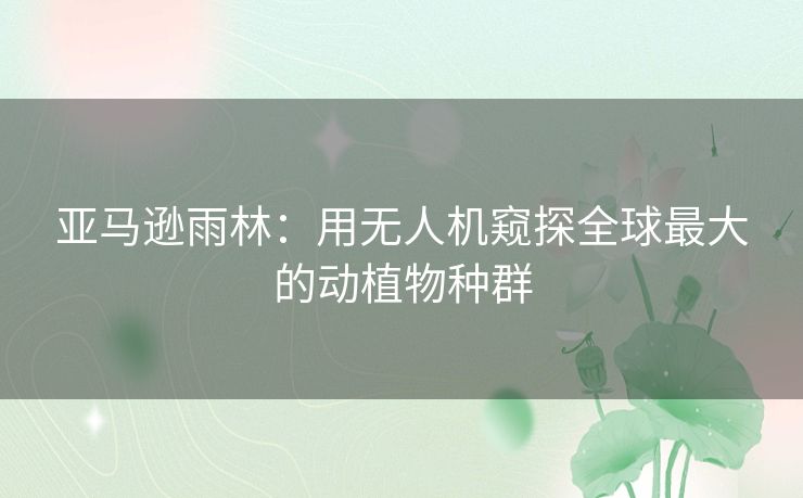 亚马逊雨林：用无人机窥探全球最大的动植物种群