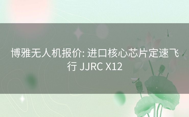 博雅无人机报价: 进口核心芯片定速飞行 JJRC X12