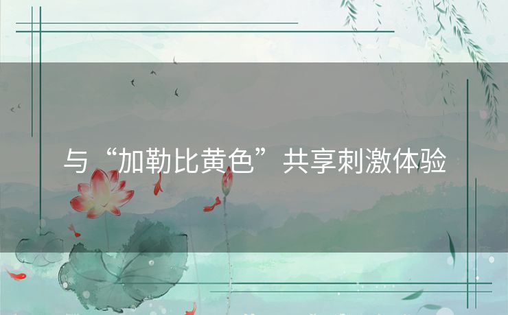 与“加勒比黄色”共享刺激体验