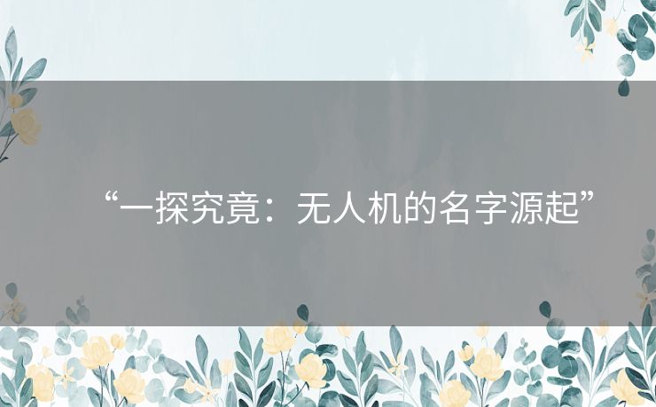 “一探究竟：无人机的名字源起”