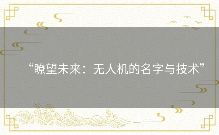 “瞭望未来：无人机的名字与技术”