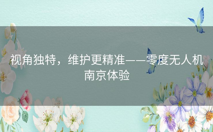 视角独特，维护更精准——零度无人机南京体验