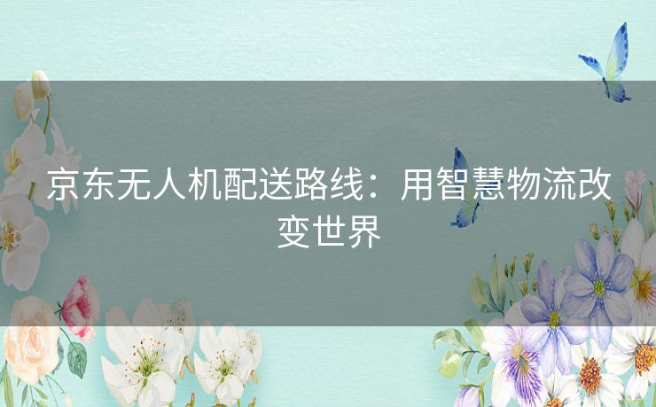京东无人机配送路线：用智慧物流改变世界