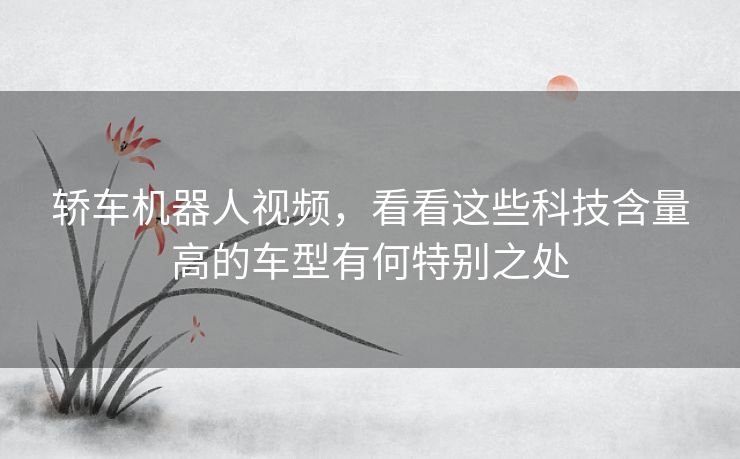 轿车机器人视频，看看这些科技含量高的车型有何特别之处