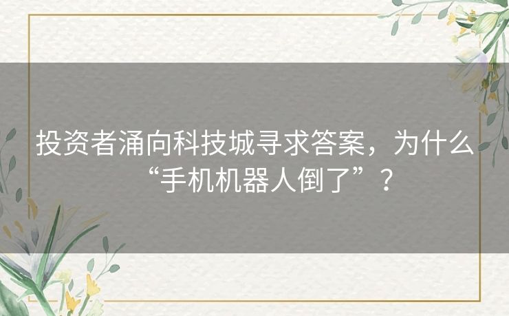 投资者涌向科技城寻求答案，为什么“手机机器人倒了”？