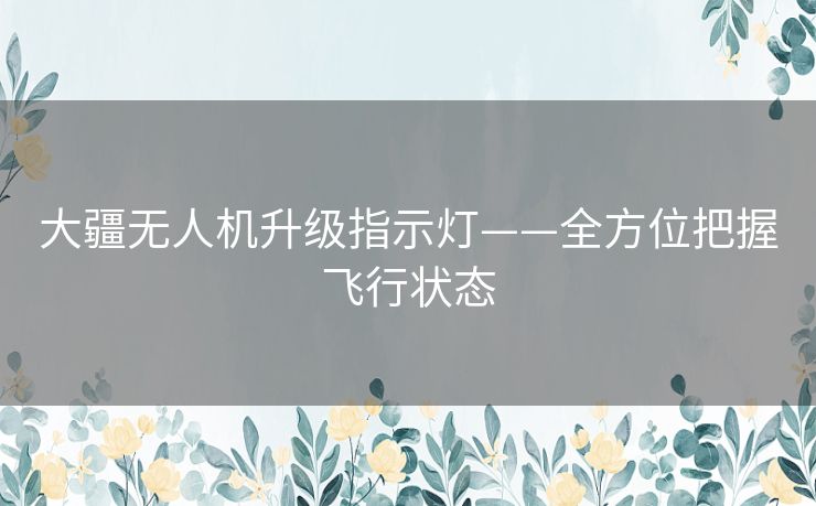 大疆无人机升级指示灯——全方位把握飞行状态 大疆无人机升级指示灯——全方位把握飞行状态