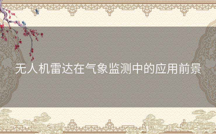 无人机雷达在气象监测中的应用前景