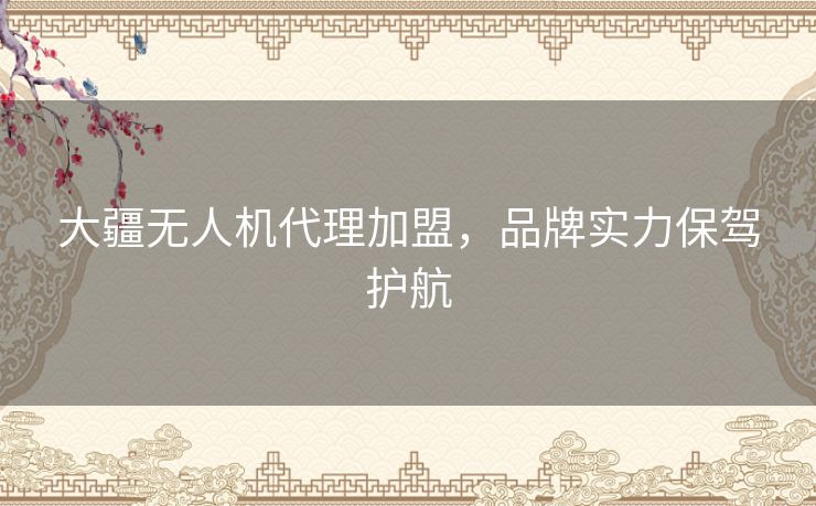 大疆无人机代理加盟，品牌实力保驾护航