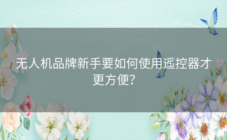 无人机品牌新手要如何使用遥控器才更方便？