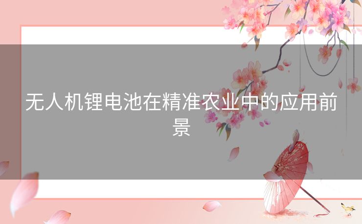 无人机锂电池在精准农业中的应用前景