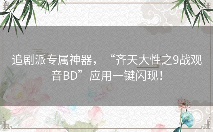 追剧派专属神器，“齐天大性之9战观音BD”应用一键闪现！