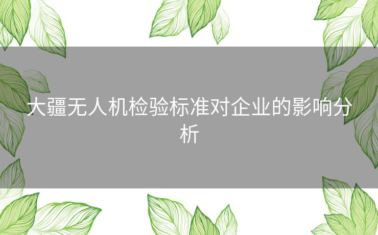 大疆无人机检验标准对企业的影响分析