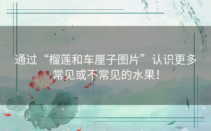 通过“榴莲和车厘子图片”认识更多常见或不常见的水果！