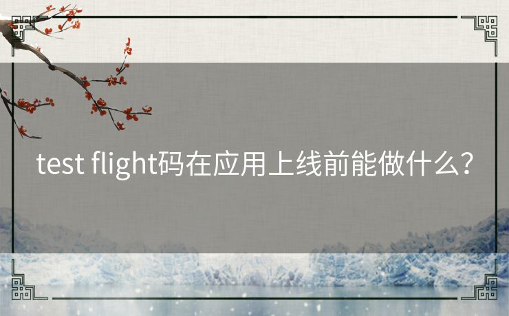 test flight码在应用上线前能做什么？