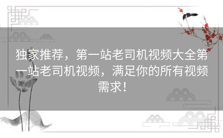 独家推荐，第一站老司机视频大全第一站老司机视频，满足你的所有视频需求！
