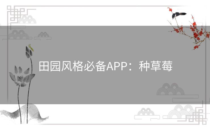 田园风格必备APP：种草莓