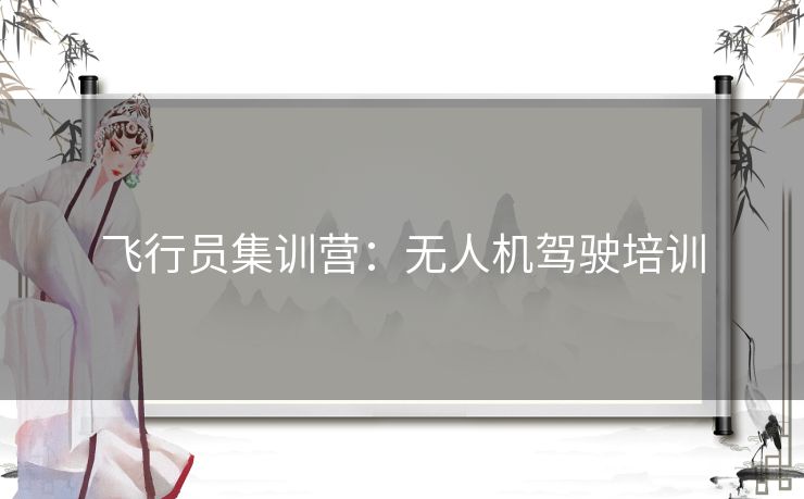 飞行员集训营：无人机驾驶培训