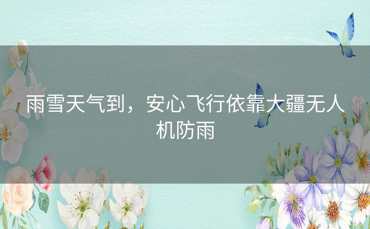 雨雪天气到，安心飞行依靠大疆无人机防雨