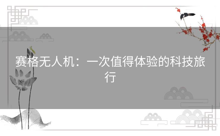 赛格无人机：一次值得体验的科技旅行